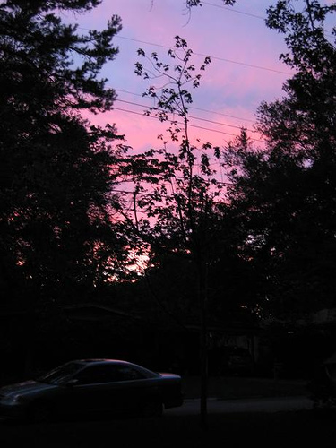 1799311796_e245180465