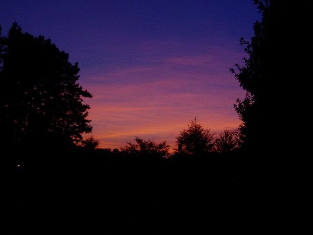 2864478528_c051a50104_z