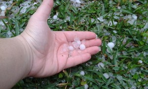 8504546113_65ab5a3b65_c