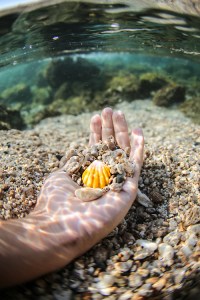 tumblr_mjdjj3Yket1qlzcbho1_500