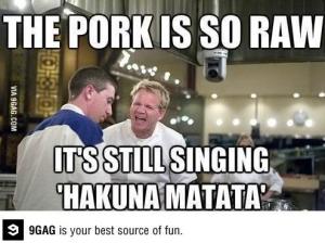 tumblr_mkxxd1B96W1qbcgy8o2_500