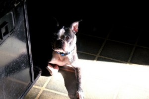 7562393688_e9df2c9e96_c