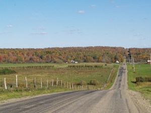 265334652_0fddc81d8c_z