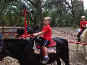 1383449_679726245385895_924776411_n