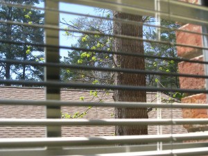 4452649922_23d1662875_z