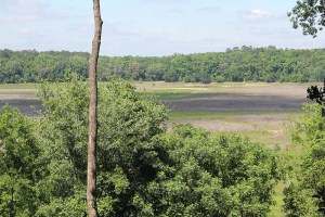 7051827873_1624ecd317_c