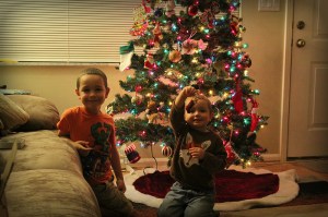 11180622275_a2d58f5407_c