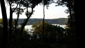 9706736558_732c8a2048_z