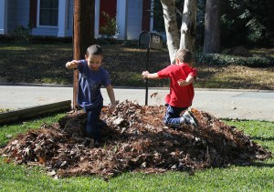 11180434406_43f356246e_z