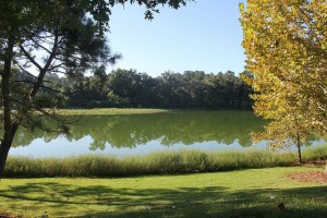 15128165009_45c9892228_z