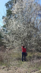 13018002433_0fd4295d36_z