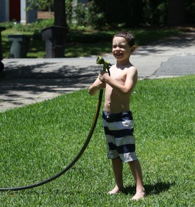 14086959256_f924f76ef3_z