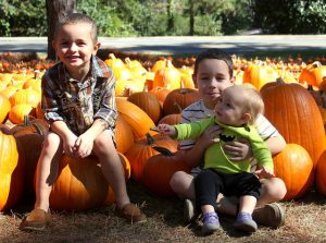 15603440336_d9f8f08022_z