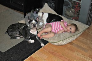 15844245668_726ba71486_z