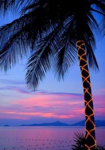 3ecf06388b1177696caf285f4f187d2e