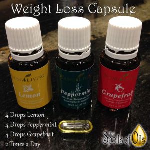 58fbf2c2547af52a6fdb1be909fe0586