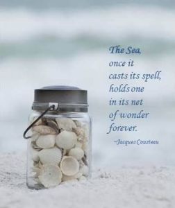 2beafbfc42363ceb0ecce980f8eb7990