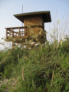 3738898460_402d8d10f1_z