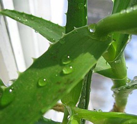 0c9d6040d222a5b5fa1060277fb37e25