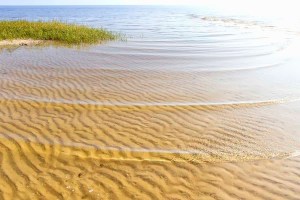 131017-3668-MashesSands-E-email