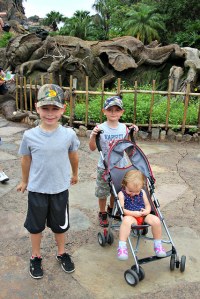 18191802383_1b18ea1c6e_z