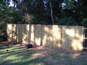 435523508_fd83c33432_z