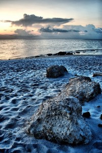 362e774594ac6723c84ee59815518e54