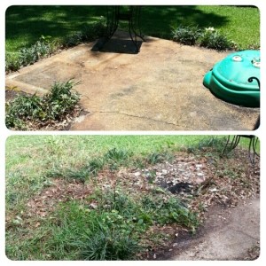 PhotoGrid_1437245142050_resized