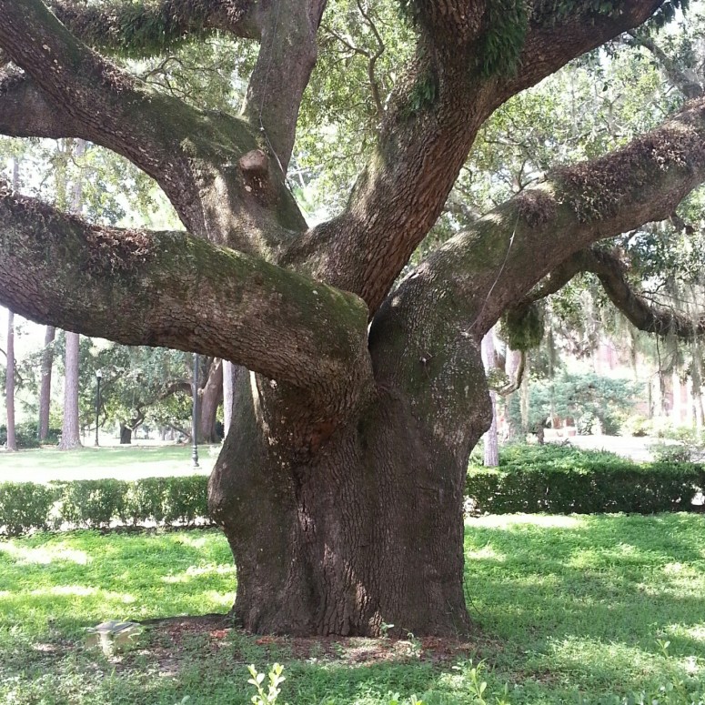 IMG_20150811_115720_resized