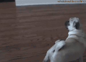 tumblr_inline_nt6vbyu5N71r79k32_500