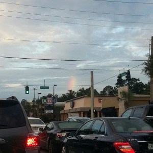 IMG_20150911_074615_resized