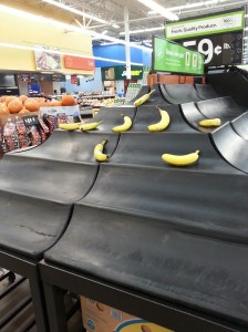 20151006_194838_resized