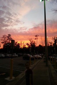 IMG_20160204_182024_resized