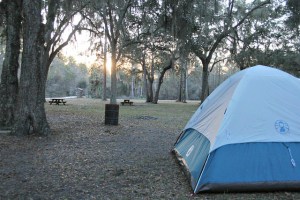 24398380354_8269325446_z