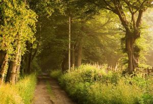 tumblr_nsf0umaVd51tic5i2o1_1280