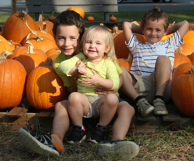 21958924628_09911e366a_z