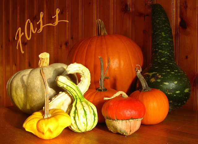 4013067998_ce66d8ca89_z