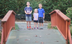 31100165264_23fb8ee7d5_k