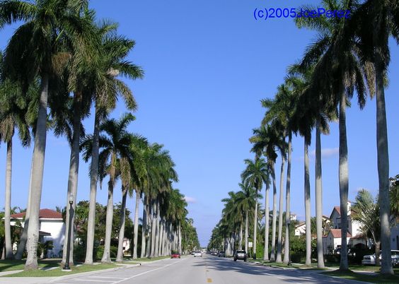 a8321bbe7c8bc2d9e0f5ef58b8d0a920