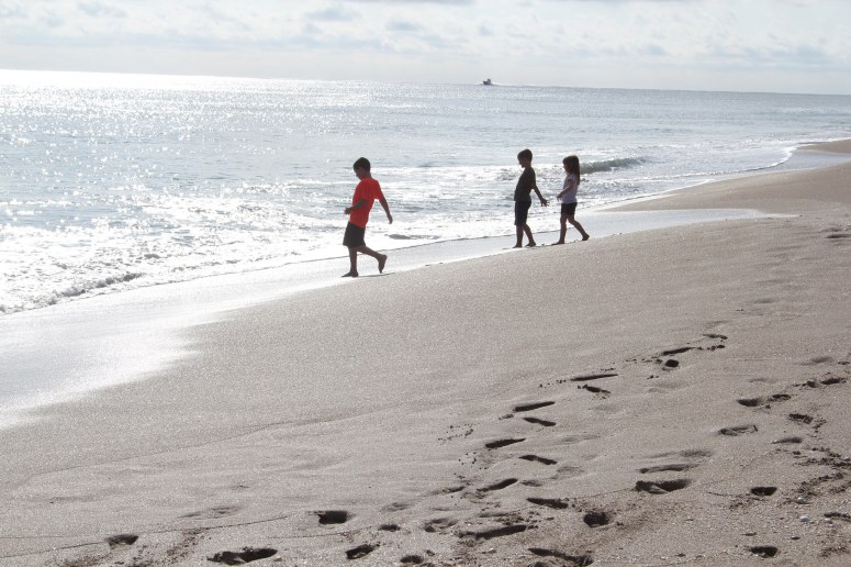 38656085001_ace283fc49_k