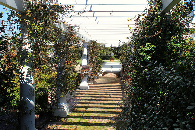 5439738427_0efff7cfca_z