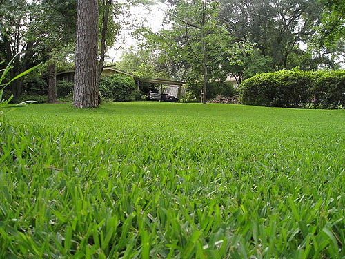 2696781119_1524b0d21b_z