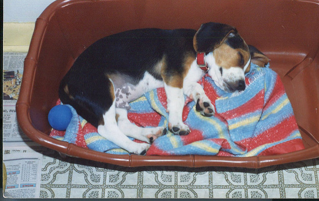 19431624828_3326d47f14_z