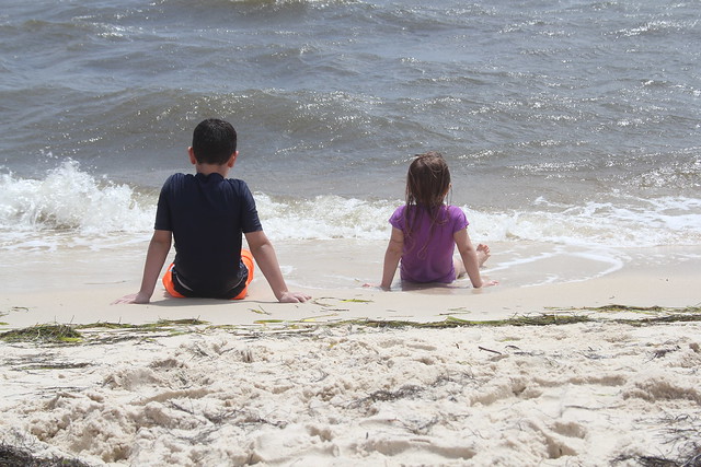 33528282854_c4f13b1762_z