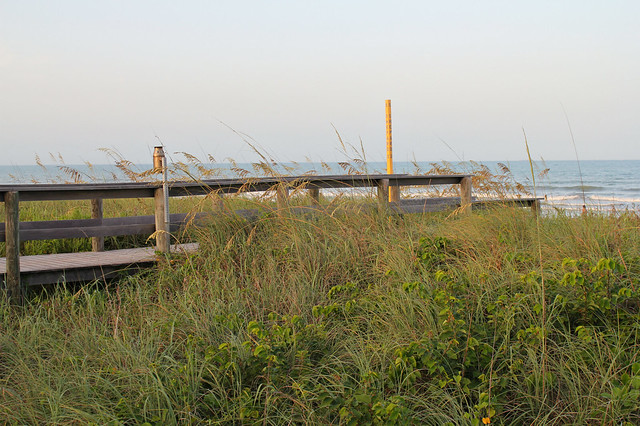 7629234024_4cc23471d1_z